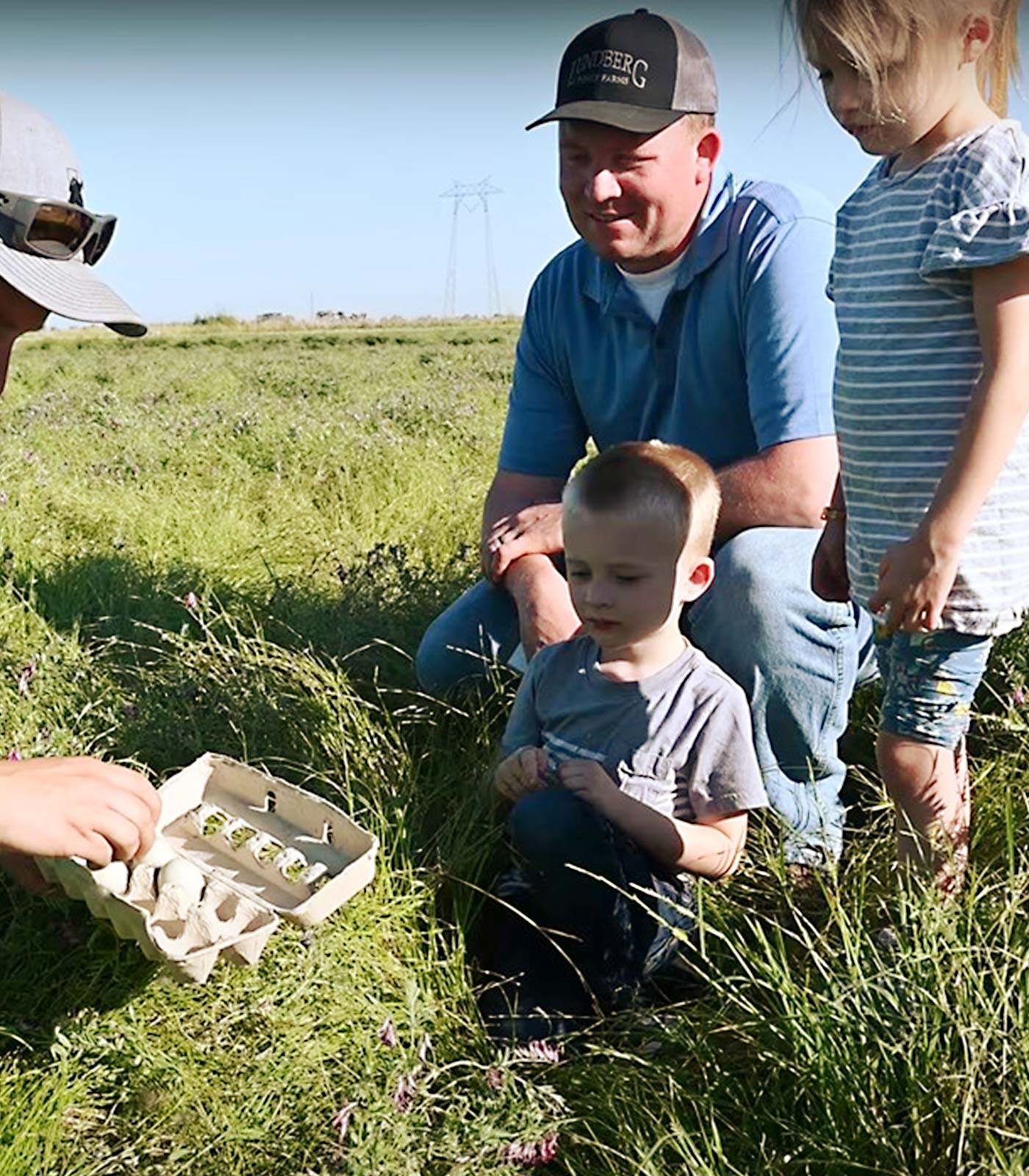 father and young children observing eggs being picked from a rice field